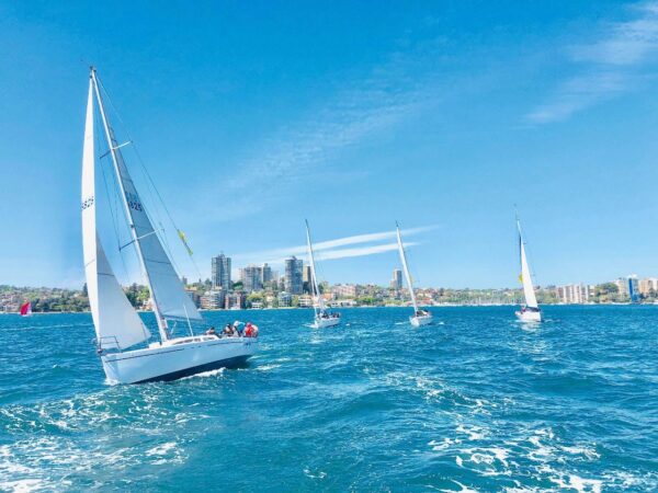 Sydney 36 - Image 6